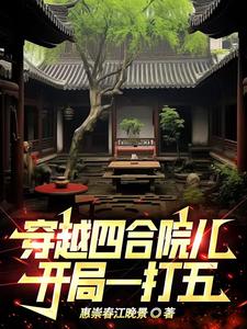 穿越四合院儿，开局一打五